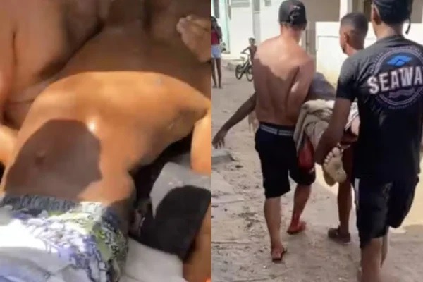 Saiba qual espécie de tubarão matou a adolescente de 13 anos em praia de Olinda