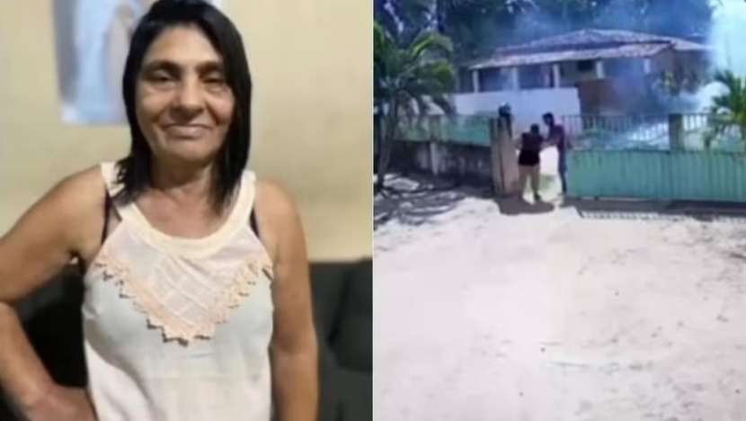 Mulher morre após ataque de abelhas na Grande Natal; neta de 8 meses é internada