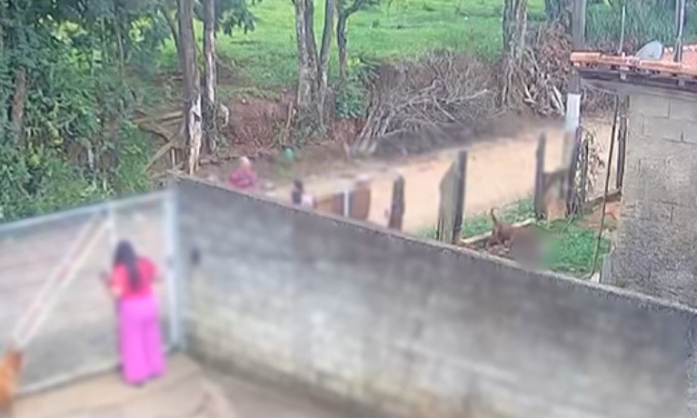 Polícia apura se bebê de 11 meses já estava morto antes de ataque de pitbull