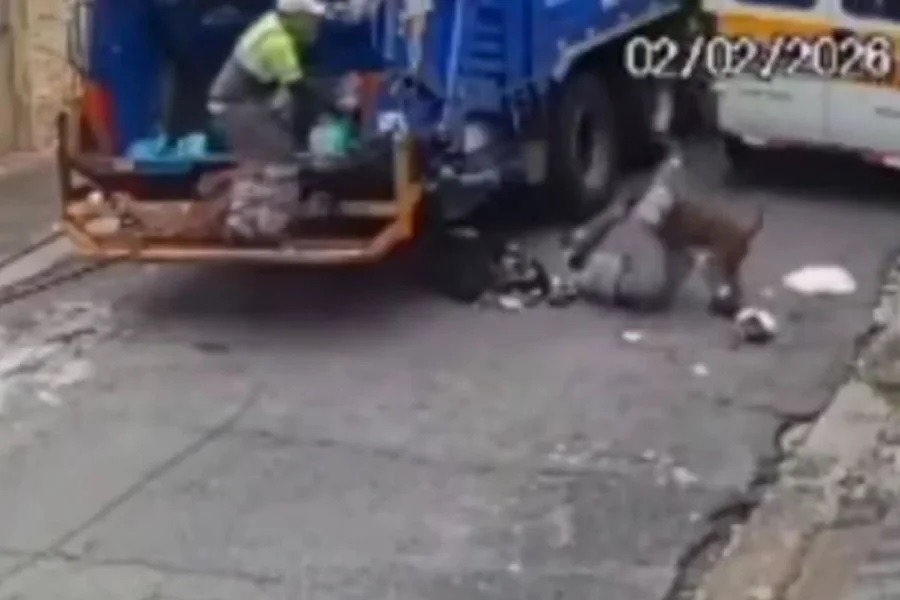 [VÍDEO] Ataque de pit-bull fere coletores de lixo e arranca dedo de um deles