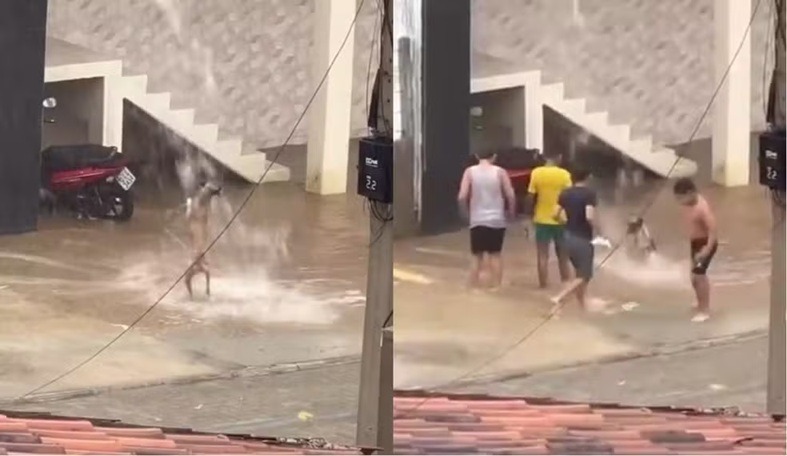 Vídeo de crianças e cachorro brincando na chuva no sertão do RN viraliza na internet; ASSISTA