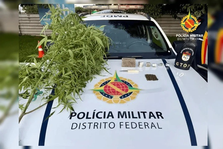 Vovô da erva: idoso guardava meio quilo de maconha dentro de geladeira