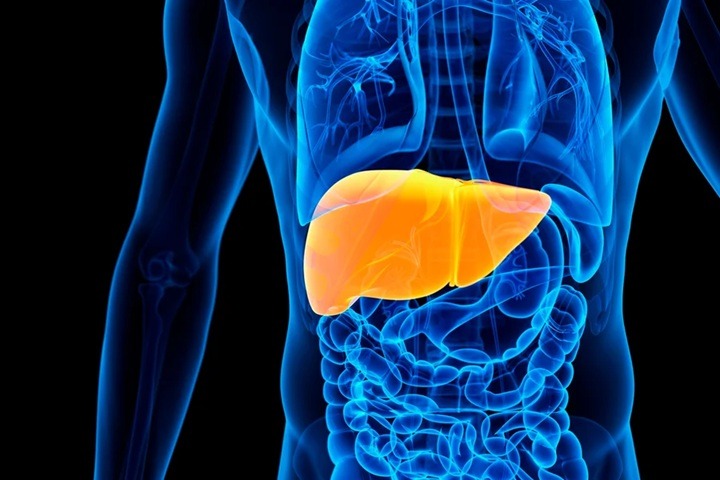 Endocrinologista aponta combinação que pode ser tóxica para o fígado