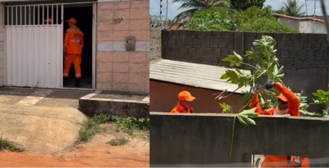 [VÍDEO] Polícia e Bombeiros usam cão farejador após tutora de pitbull confessar 7 mortes em Ceará-Mirim