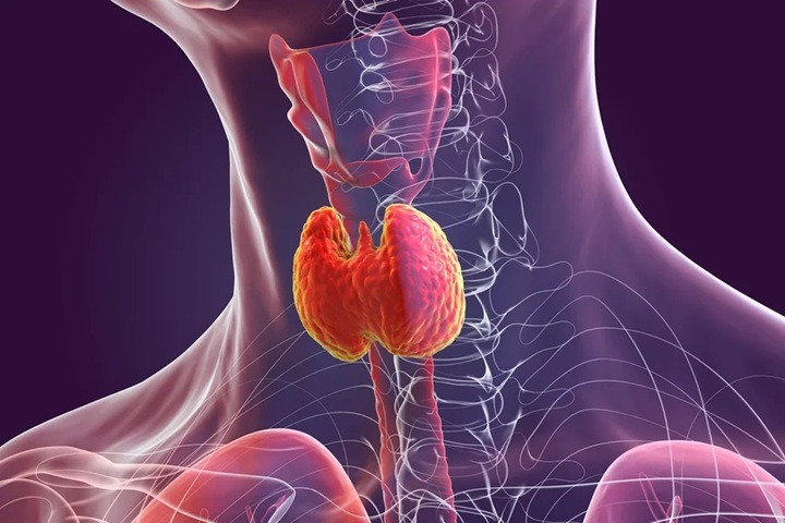 Endocrinologista revela se cuscuz pode beneficiar a saúde da tireoide