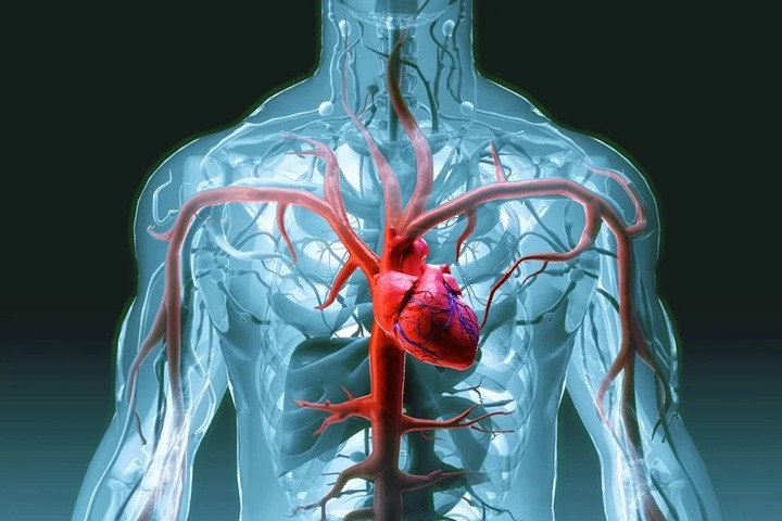 Cardiologista cita hábitos eficazes que ajudam a proteger o coração