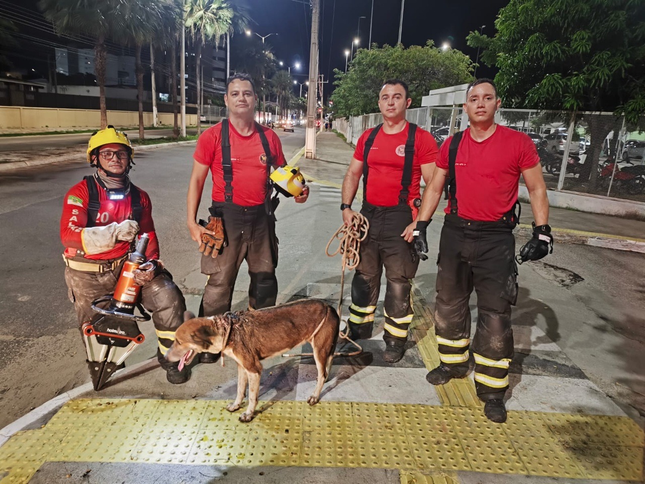VÍDEO: cachorro é resgatado após ficar preso em esgoto em Mossoró