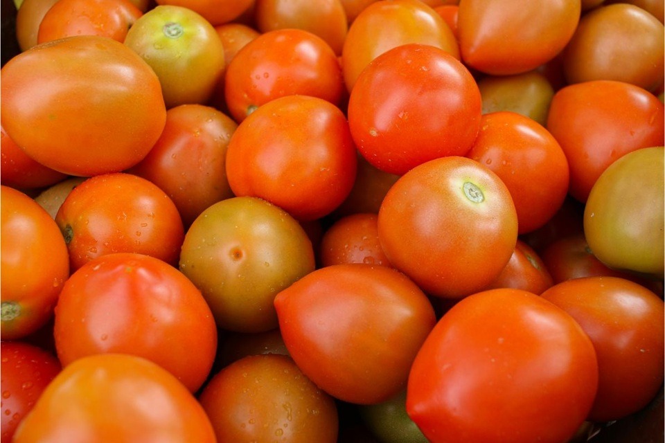 Aliado do coração: nutricionista revela os benefícios do tomate
