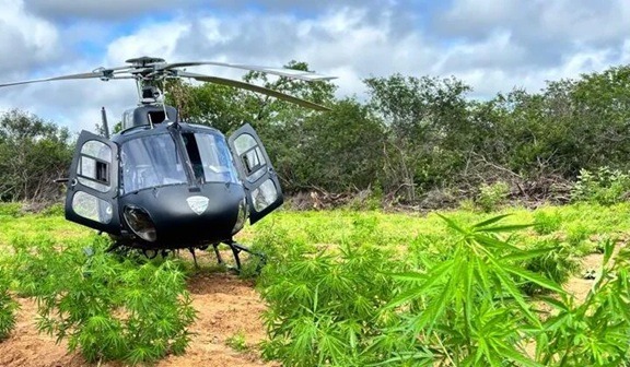 Helicóptero Potiguar 01 auxilia PF em apreensão de duas toneladas de drogas