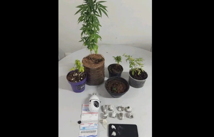 Homem é preso com drogas escondidas em gelágua e plantação de maconha no quintal em Mossoró
