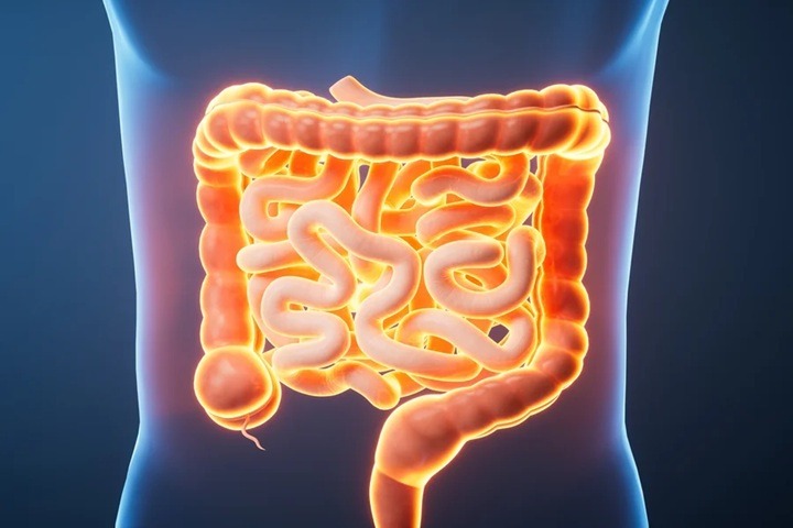 Câncer de intestino: sete sintomas silenciosos que merecem atenção
