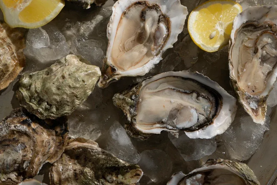 Superbactérias crescem em pescados e frutos do mar no Brasil