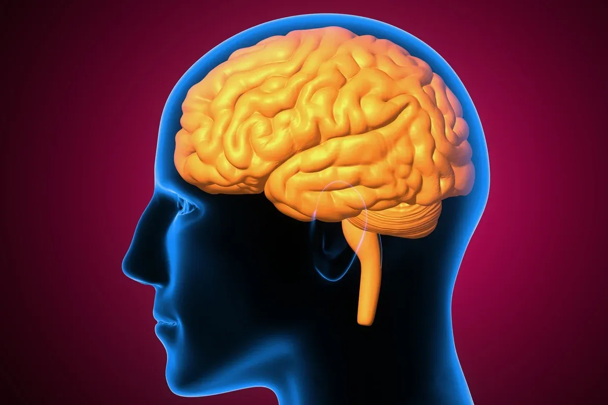 Estudo descobre uma possível ligação genética entre câncer e Alzheimer