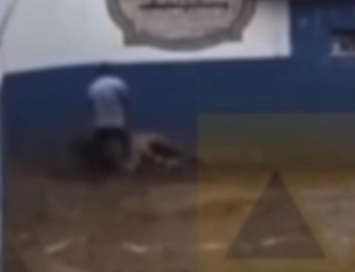 [VÍDEO] TRAGÉDIA EM VAQUEJADA NO RN: Cavalo cai morto durante competição e gera revolta nas redes