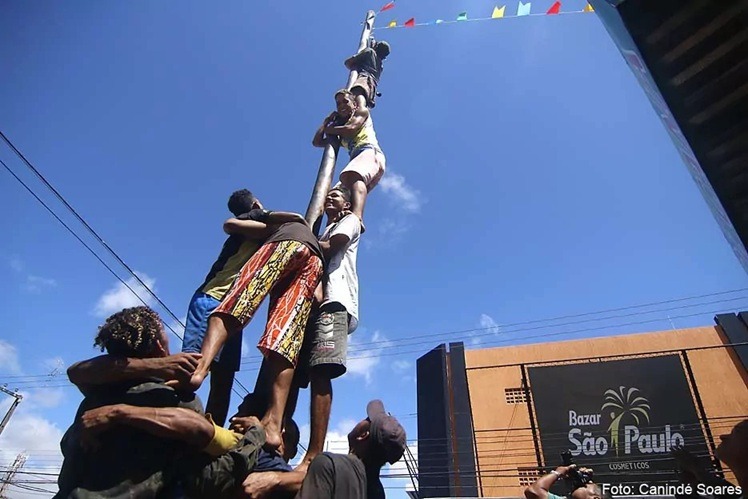 Tradicional Pau de Sebo do Alecrim acontece neste sábado com prêmio de R$ 400