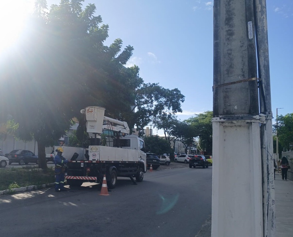 Avenida Antônio Basílio terá trecho interditado para poda de árvores; confira