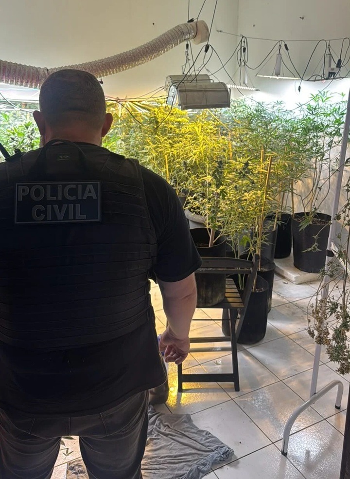 Polícia desmonta laboratório de 'flores de maconha' em Natal e prende traficante com potencial lucro de R$ 500 mil