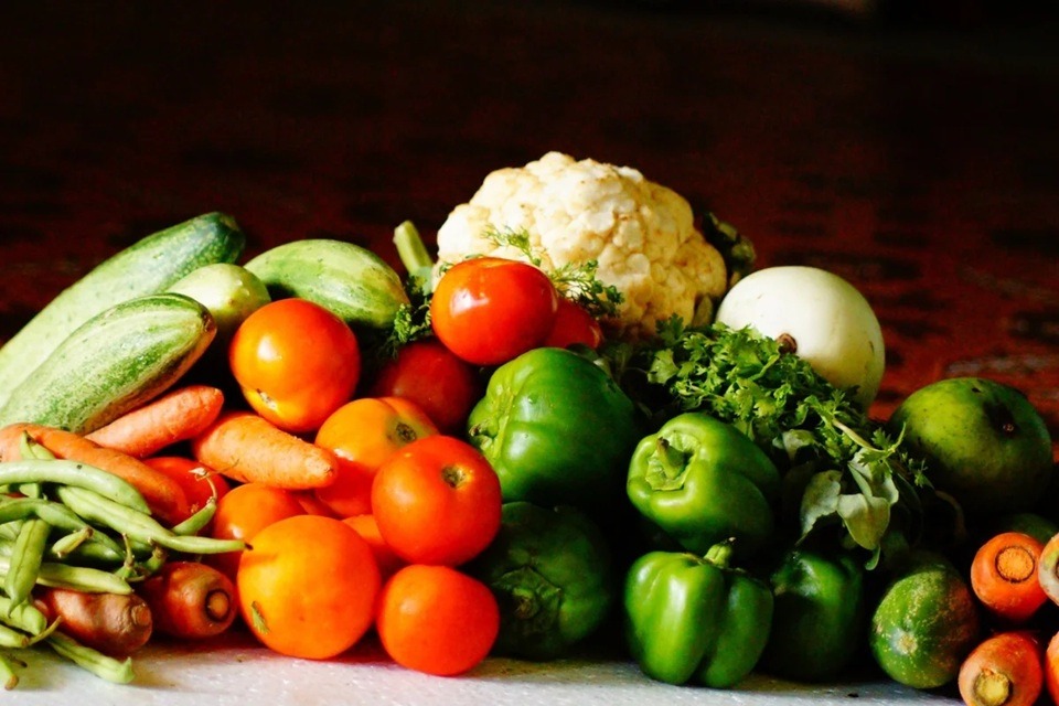 Proteínas vegetais pouco estudadas podem melhorar a saúde intestinal