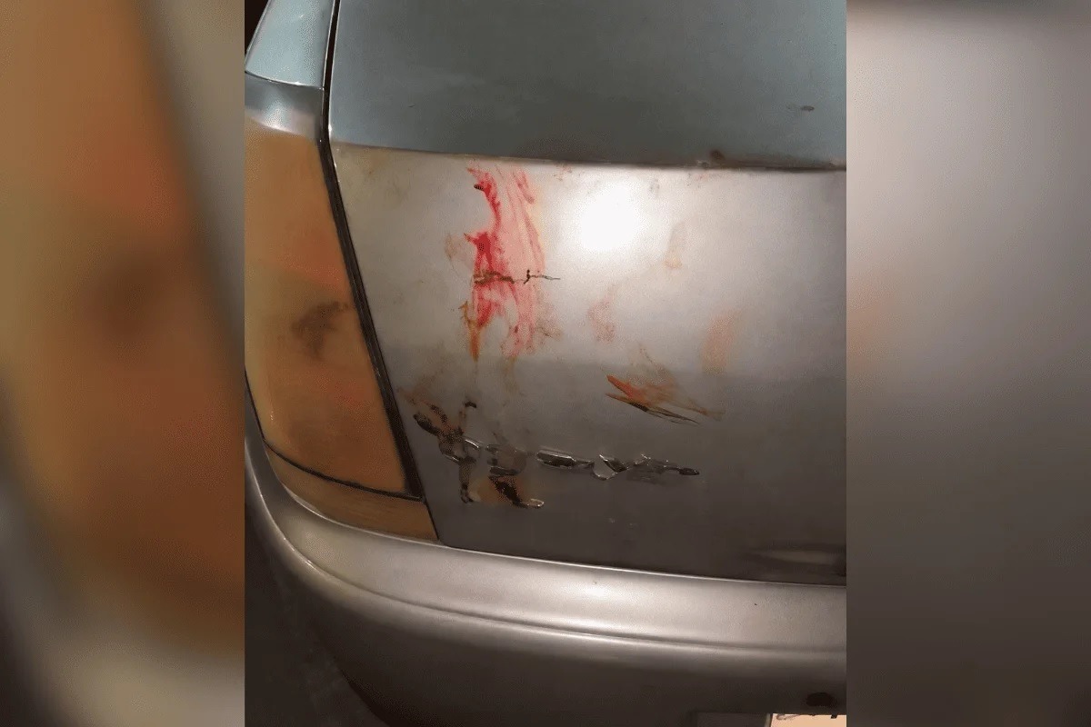 Mulher é agredida, colocada em porta-malas e ameaçada de morte pelo ex