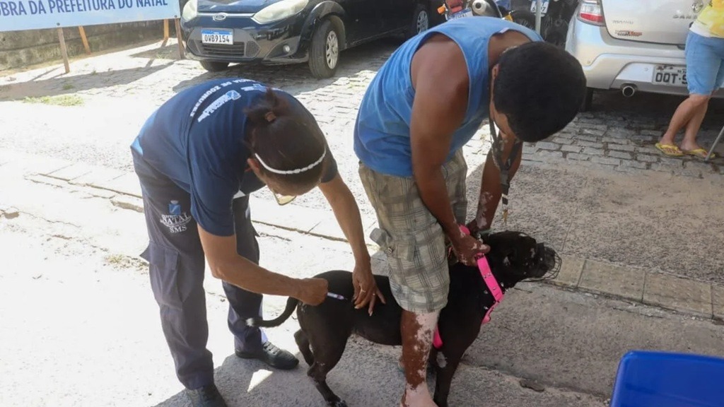 Vacinação antirrábica em Natal terá postos fixos neste sábado; confira