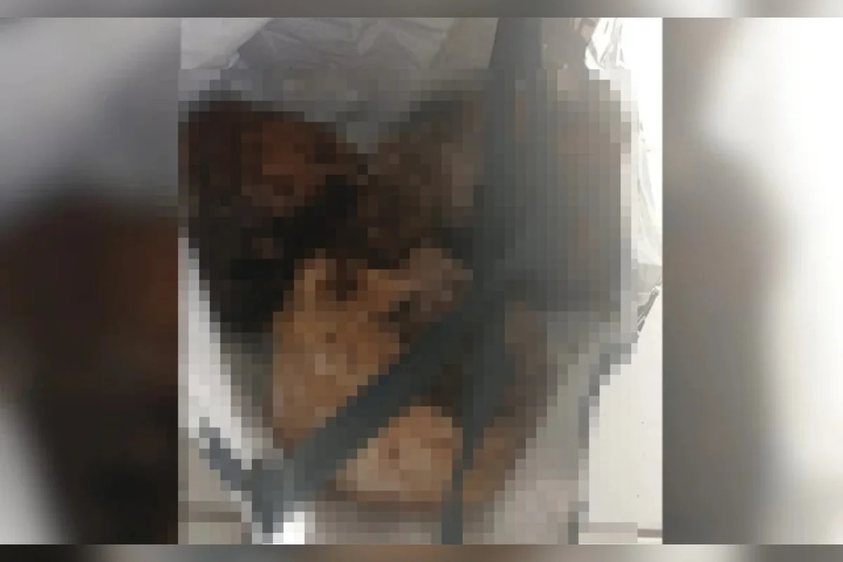 Homem é flagrado com três crânios humanos dentro de sacola em Caps