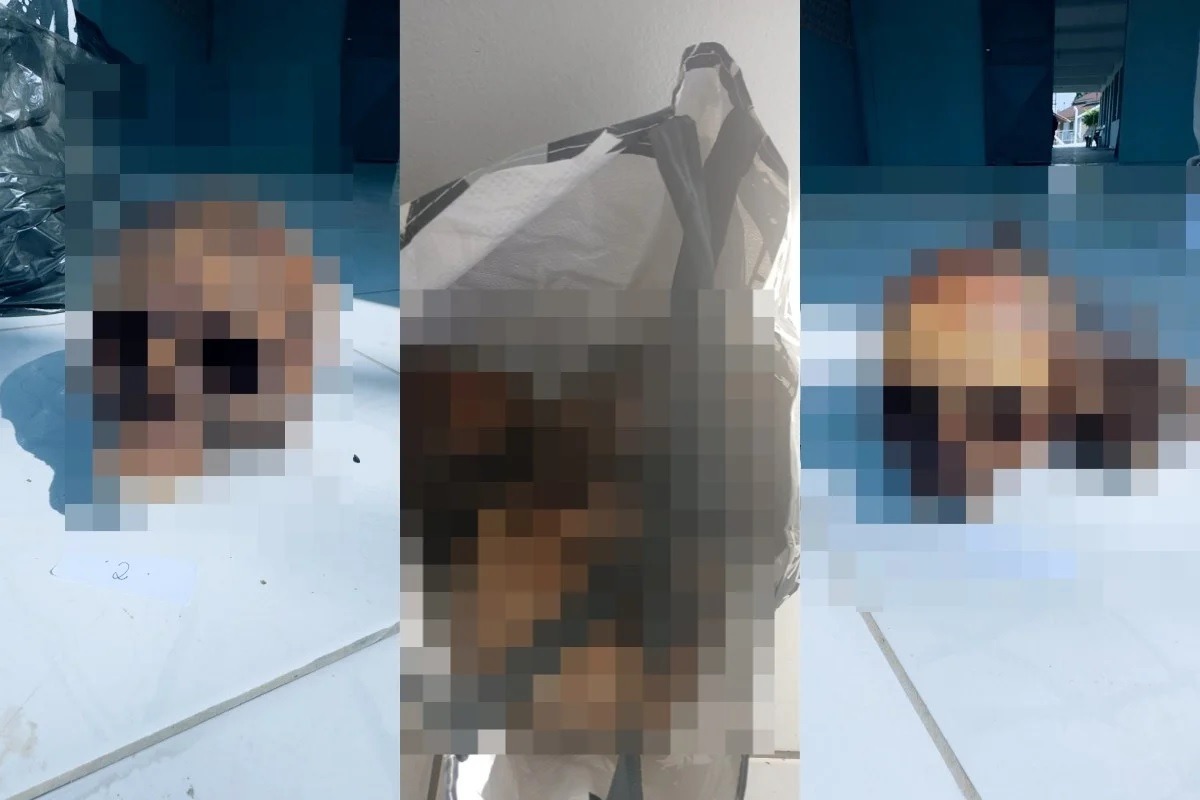 Homem leva três crânios em sacola para CAPS e polícia descobre cinco túmulos violados