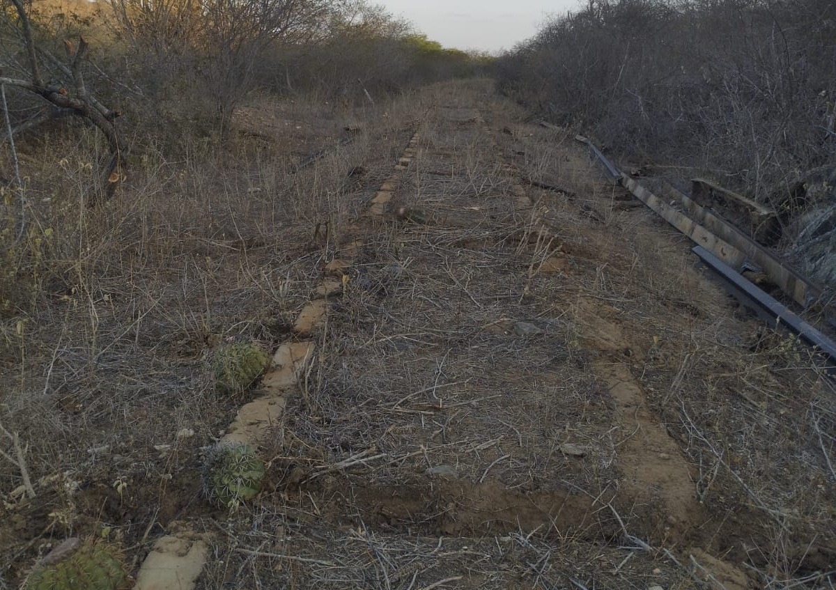PM frustra furto de quase 1 km de trilhos ferroviários no interior do RN