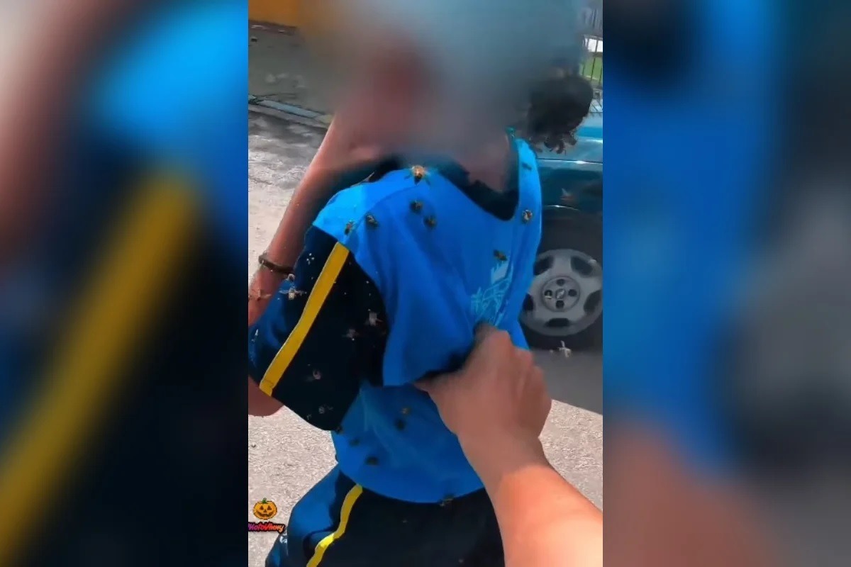 Motoboy salva criança e leva 40 picadas durante ataque de abelhas