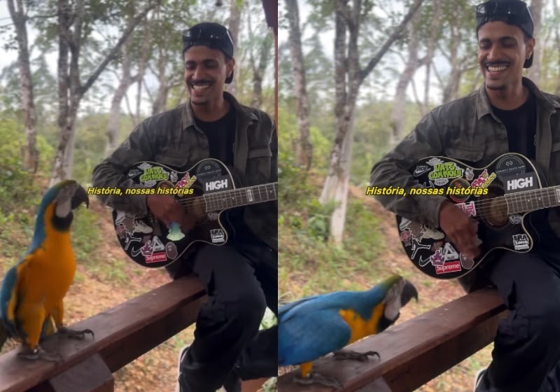 [VÍDEO] Arara fã de Charlie Brown Jr. dança e canta enquanto jovem toca “Dias de Luta, Dias de Glóri