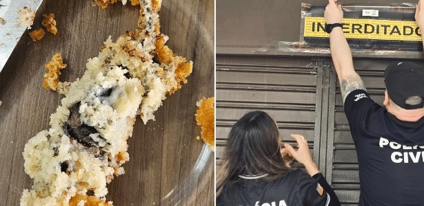 Cliente encontra rato morto em bolo após consumir produto por três dias