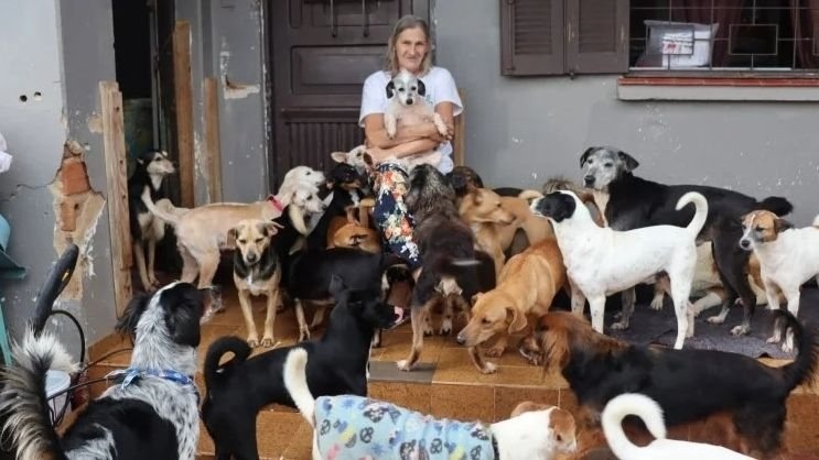 Natal cria lei para atender pessoas acumuladoras de animais; veja ações e como vai funcionar 