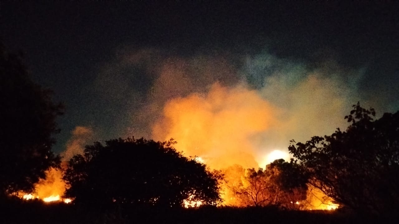 VÍDEO: Incêndio atinge área de vegetação na UFRN