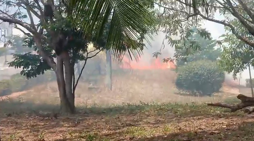 VÍDEO: Incêndio atinge área de vegetação na UFRN e Bombeiros são acionados