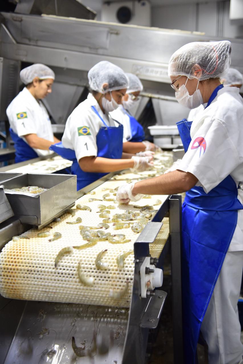 Empresa de camarão quer investir R$ 30 milhões e gerar 300 novos empregos no RN