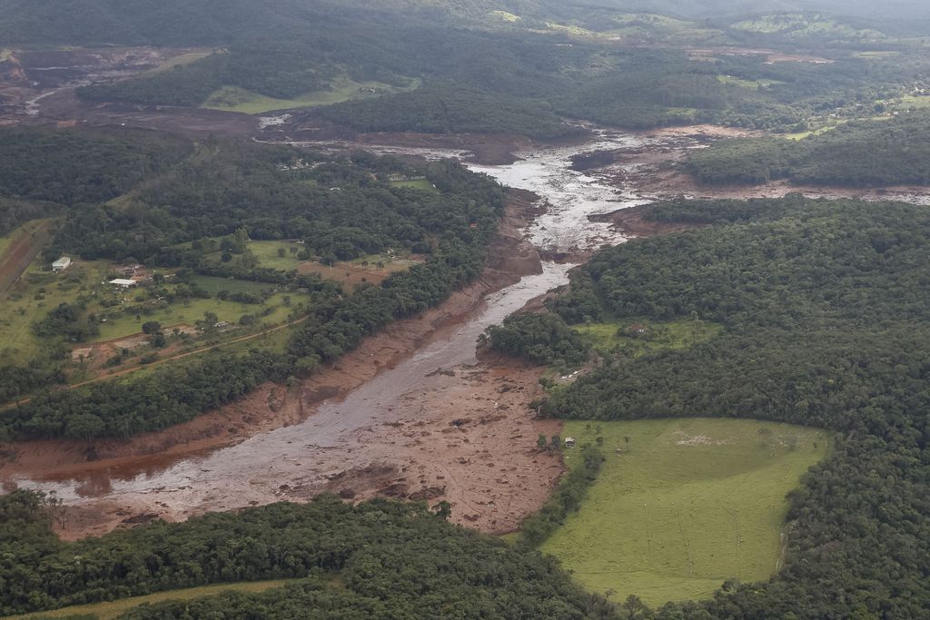 Tragédia de Brumadinho já contabiliza 58 mortos; 305 estão desaparecidos