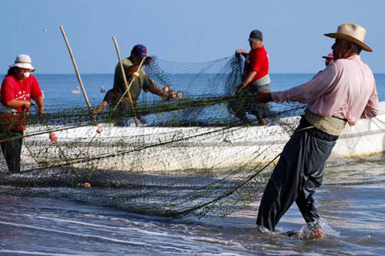 Assembleia Legislativa cria Frente Parlamentar em Defesa da Pesca