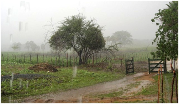 Fevereiro já tem 88 municípios com volume de chuvas na média ou acima no RN