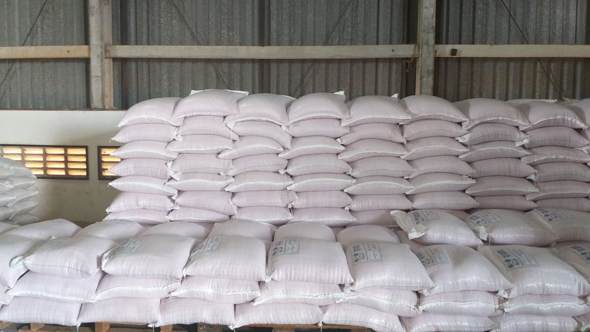 Governo do RN investe R$ 7,8 milhões em sementes para 52,5 mil agricultores