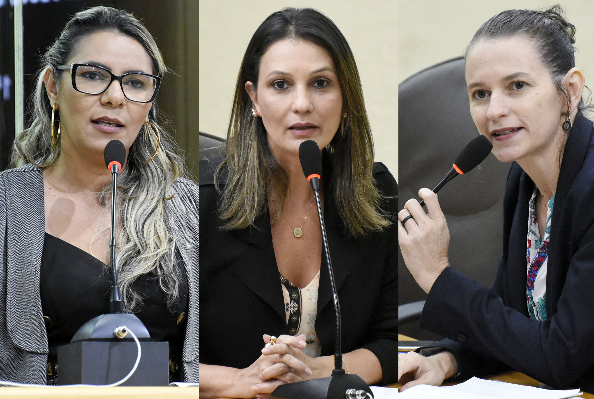 Deputadas sugerem criação de Procuradoria Especial da Mulher