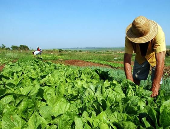 Fraude: Metade dos aposentados na área rural podem não ser trabalhadores rurais