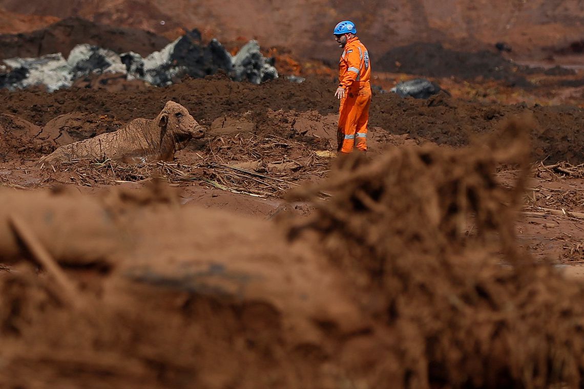 Dois meses após tragédia em Brumadinho, Vale tem R$ 13,6 bi bloqueados