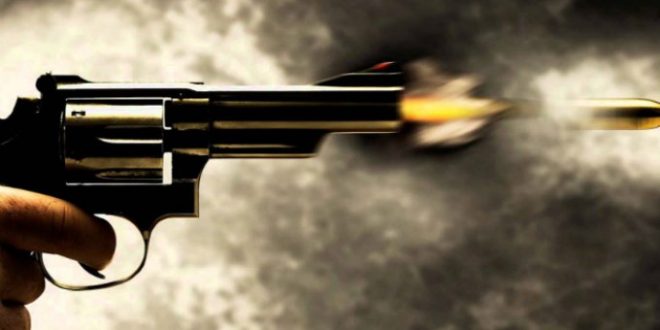 Decreto sobre uso de armas amplia porte para deputados e jornalistas