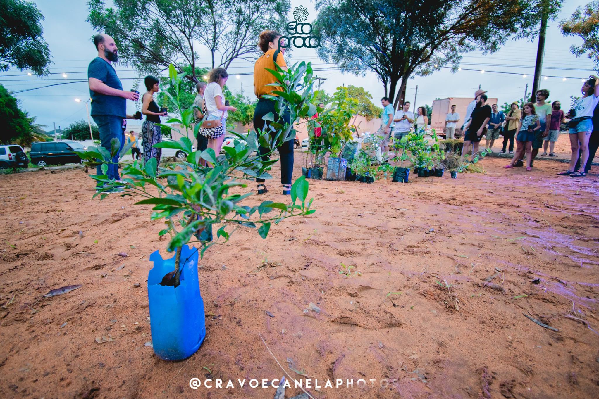 Eco Praça Sustentabilidade chega à Praia da Pipa