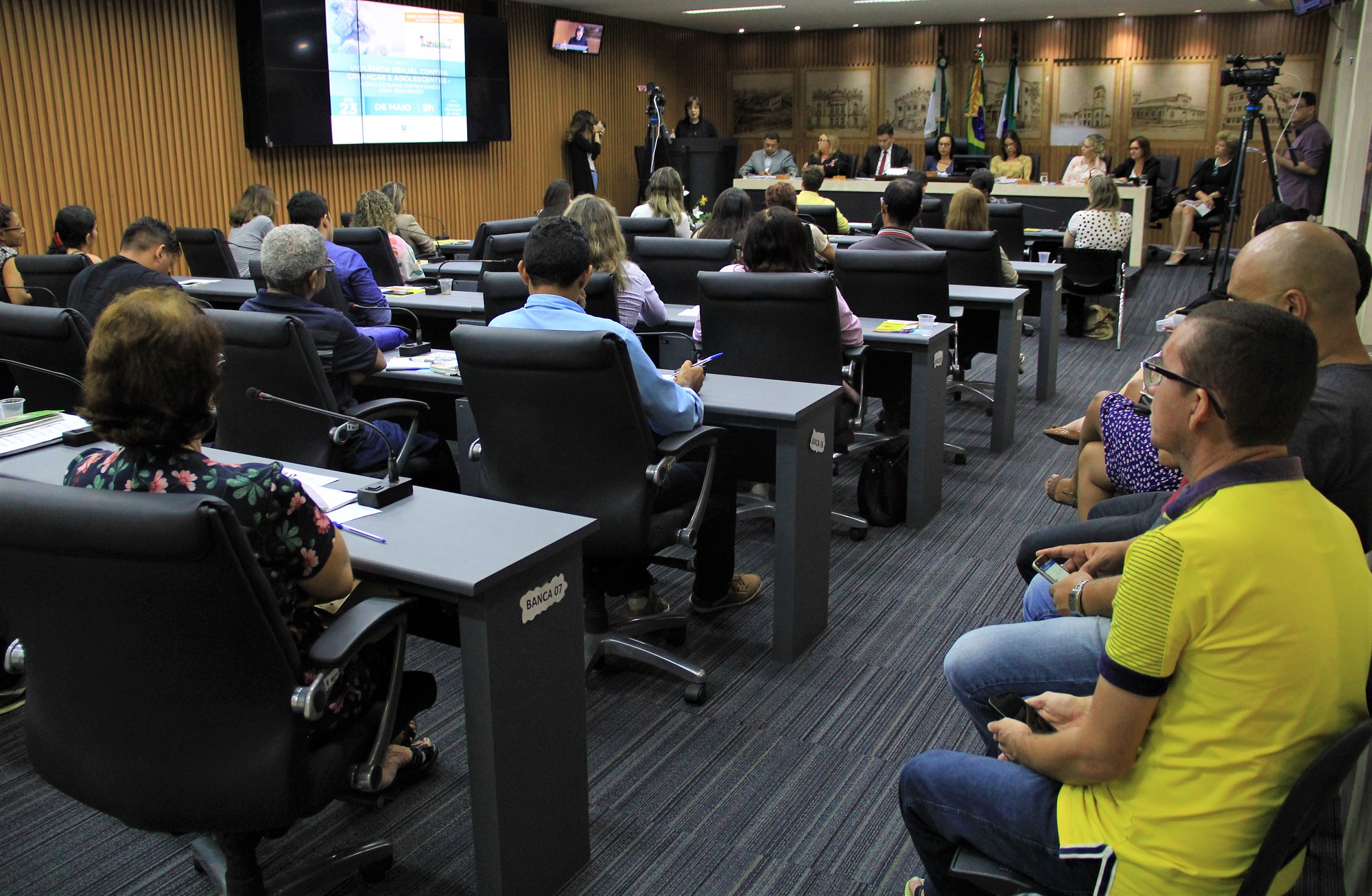 Frente Parlamentar da CMN debate violência sexual contra crianças e adolescentes