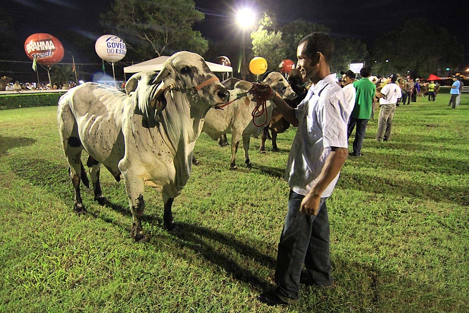 Decreto isenta de ICMS a carne bovina de criadores do RN