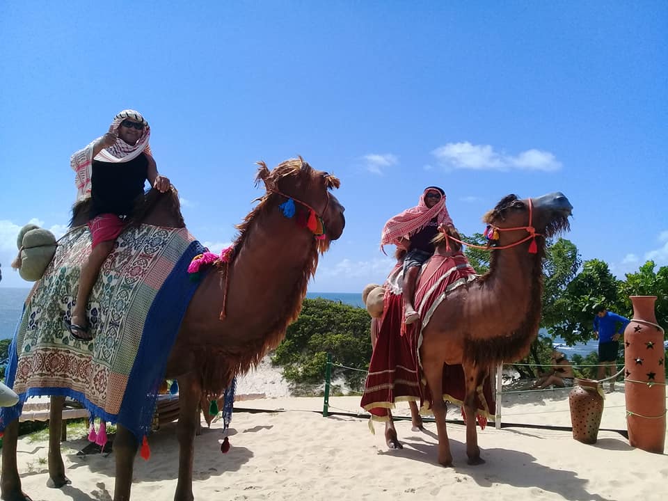 Empresa de passeio de dromedários encerra atividades por falta de turistas no RN