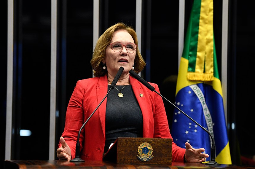 Brasil precisa de um plano de recuperação econômica, diz Zenaide