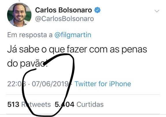 Carlos Bolsonaro já falava em "pavão" há mais de uma semana