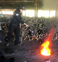 Polícia Civil incinera aproximadamente 850 quilos de drogas em Natal
