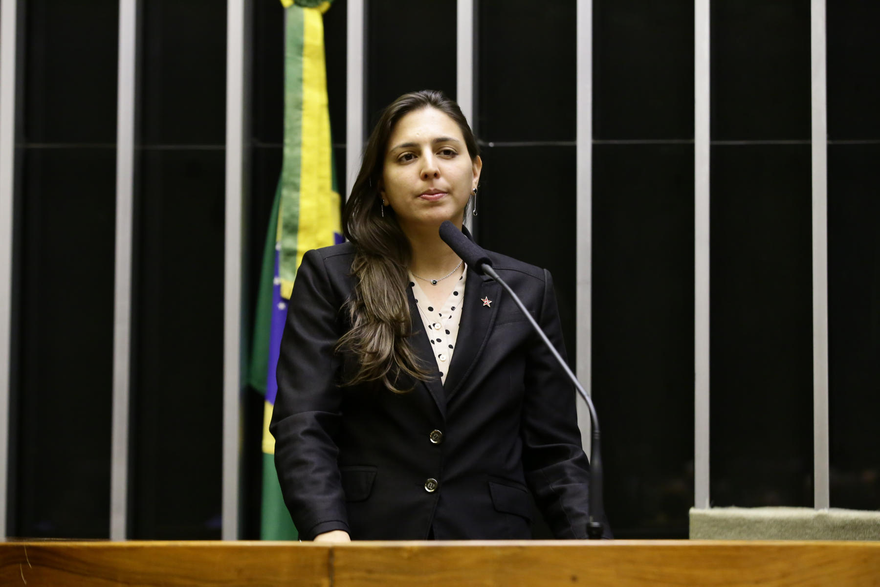 Bonavides critica reforma e diz que governo Bolsonaro faz "toma lá, dá cá"